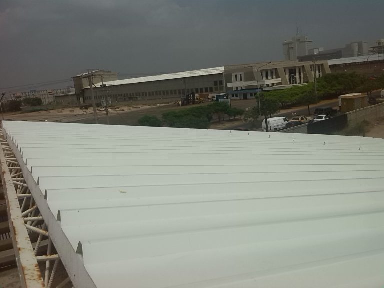 CARA NERVADA SUPERIOR