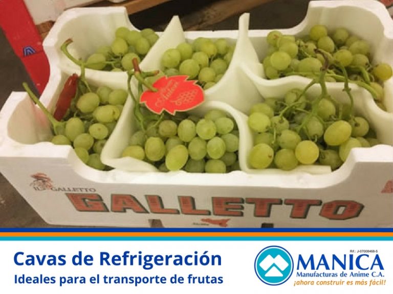 CAVA UVAS Y FRUTAS MANICA