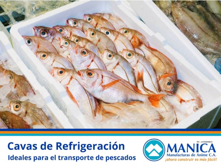 CAVAS MANICA PESCADO REFRIGERACION